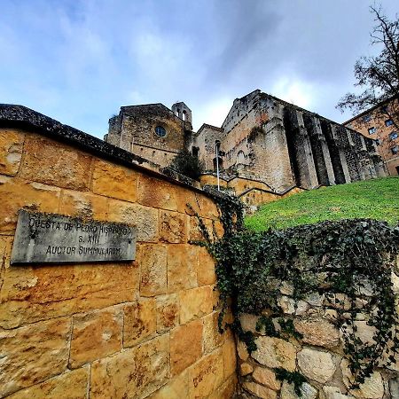 Apartamento Medieval En El Camino De Santiago Estella Bagian luar foto