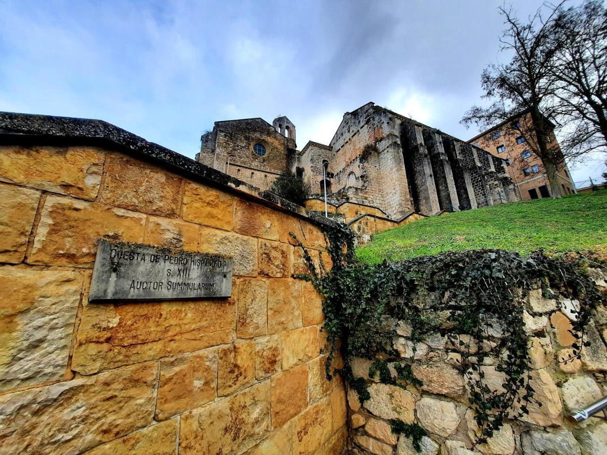 Apartamento Medieval En El Camino De Santiago Estella Bagian luar foto